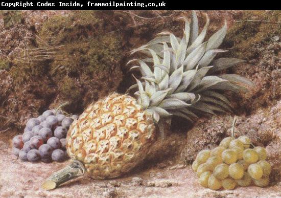 John Sherrin A Pineapple and Grapes on a mossy Bank (mk37)